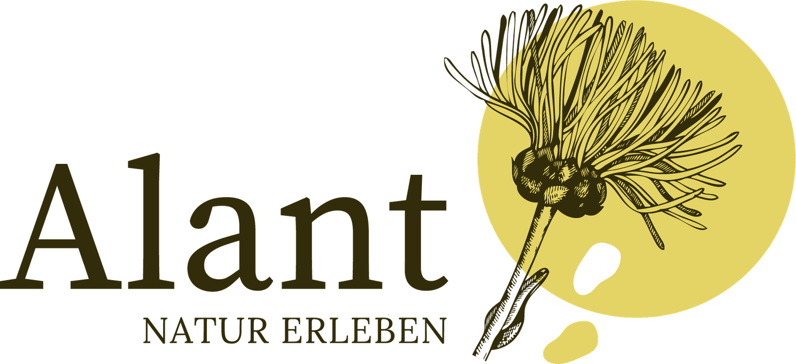 Alant - Natur erleben