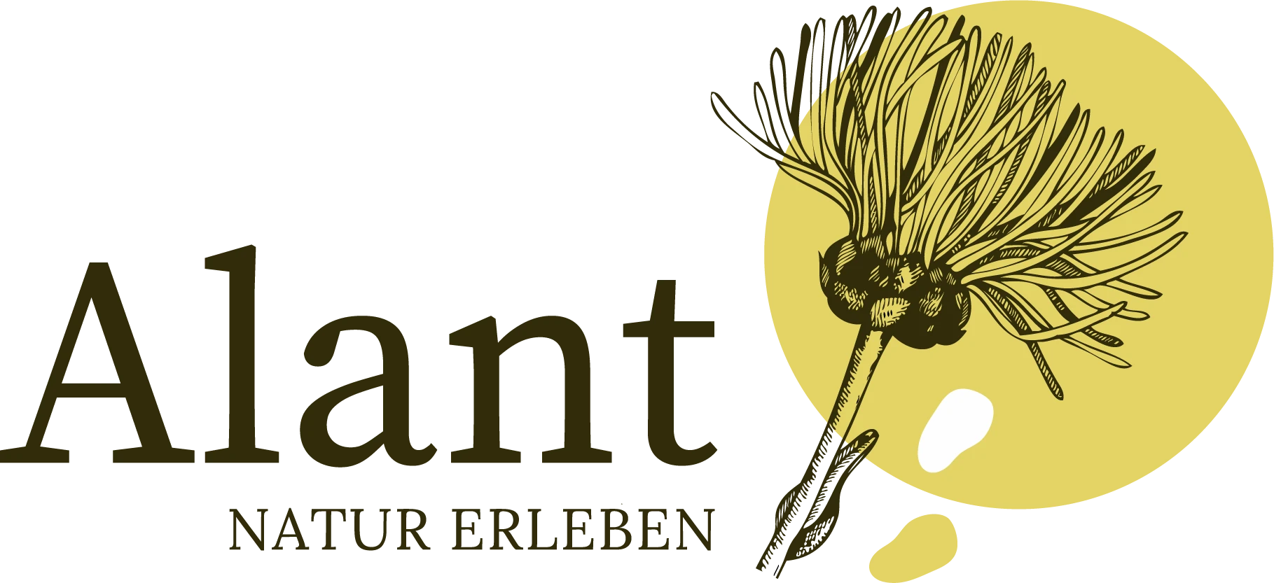 Alant - Natur erleben Logo