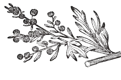 Events Illustration Events Illustration