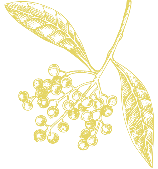 Kontakt Illustration Alant Kontakt Illustration Alant