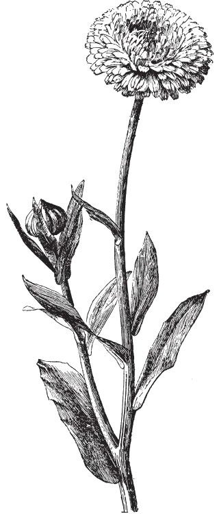 Veranstaltungen Illustration