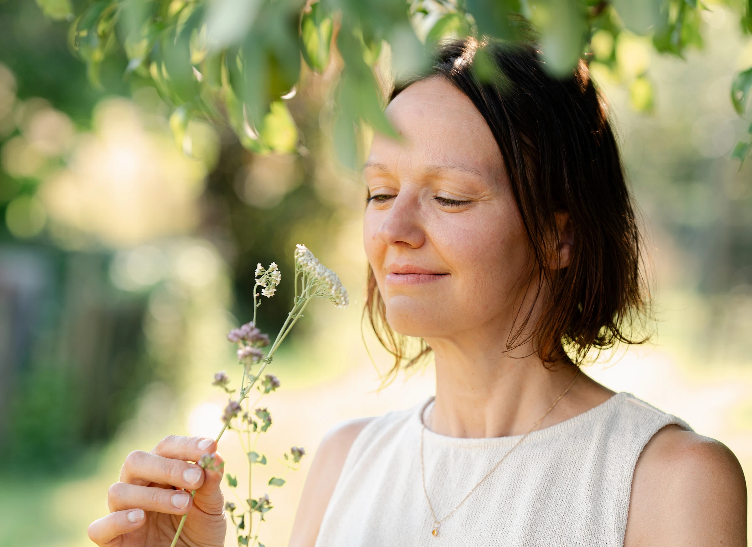 Susanne Anderle-Meyer Blog