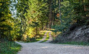 Dein Weg
