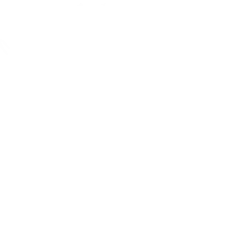 Bildmarke von Alant – Natur erleben: eine Alantblüte